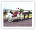 Share a Ride