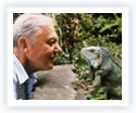 Videos - Youtube, Ted