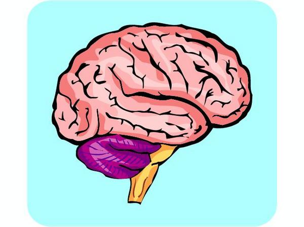 Befriending your Amygdala