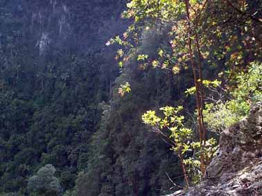 Tuntable Falls