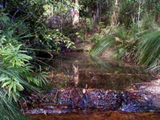 Tuntable Creek