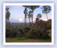Nymboida Yoga Retreat Hover