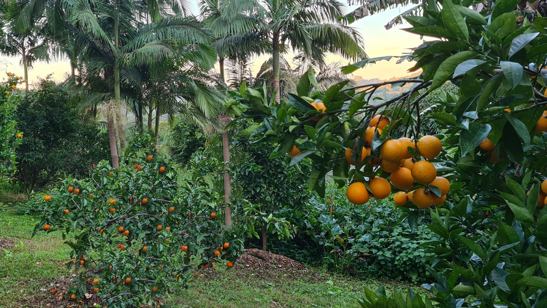 Eco Farm