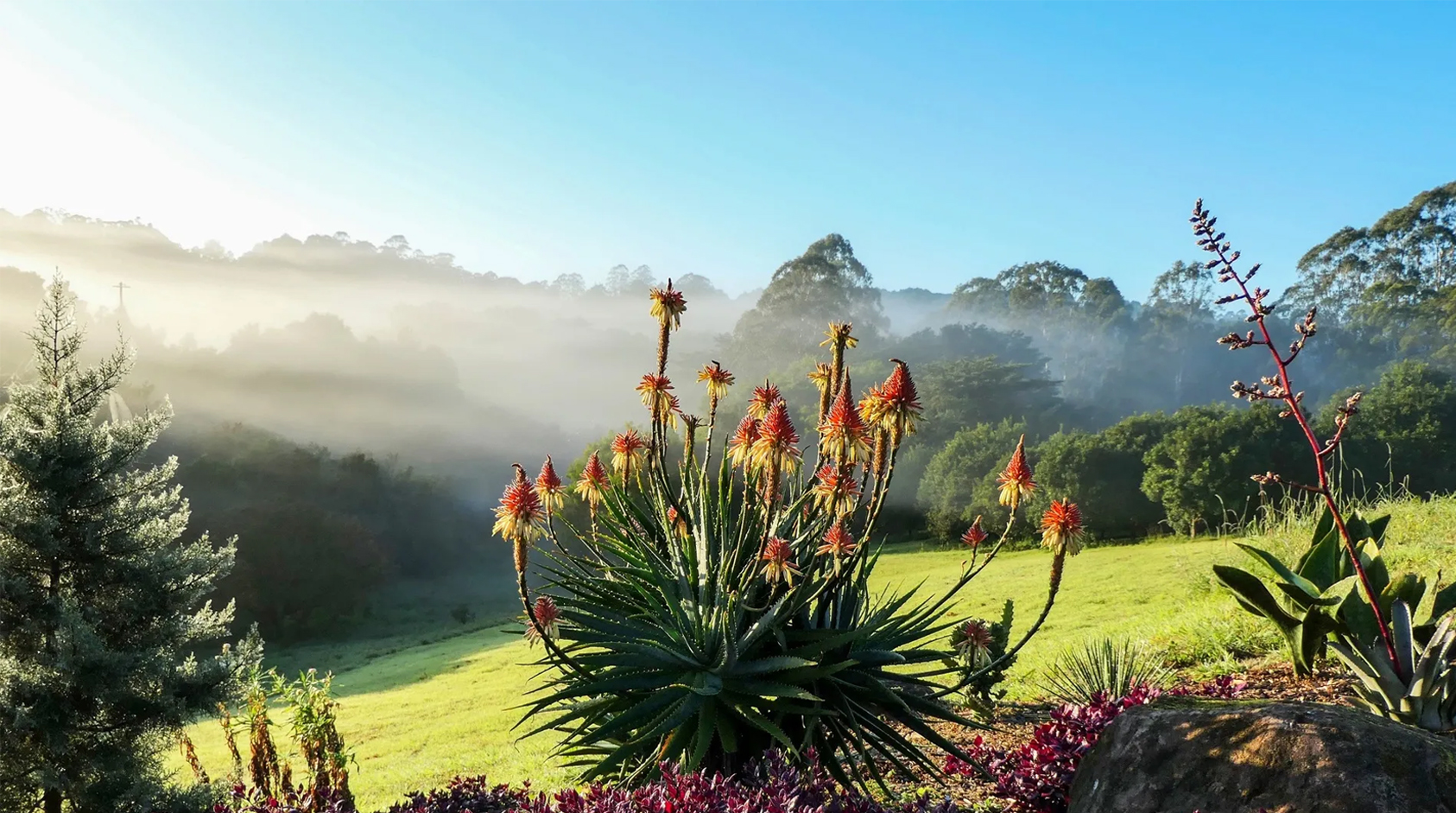 The Hinterland Eco Farm landscape