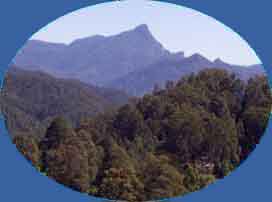 Mount Warning - Wollumbin 