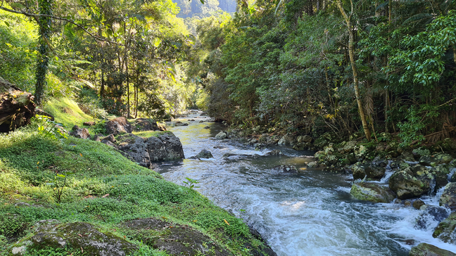 Byron Bay Hinterland