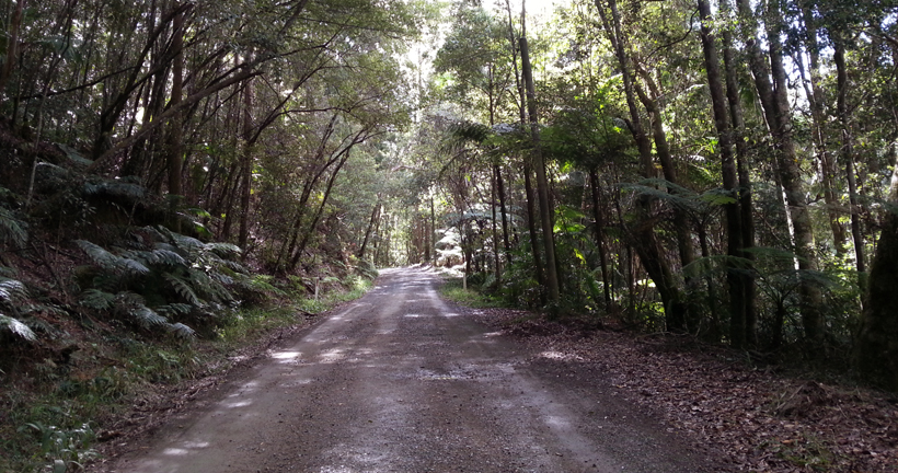 Wilsons Creek - Huonbrook